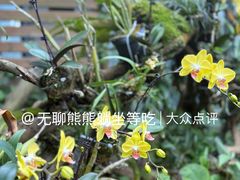 -东莞植物园