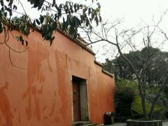 -金鸡山公园