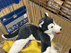 -宜家家居(高新商场店)