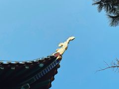 -古琴台