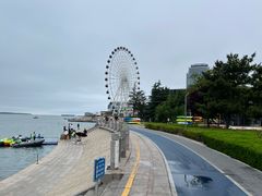 -琴岛之星摩天轮