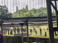 -河姆渡遗址博物馆