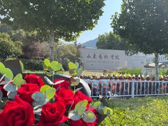 -山东艺术学院(长清校区)