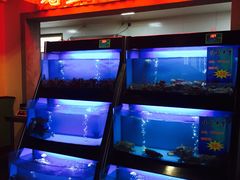 -薇满楼宴会中心(尚城国际购物中心店)