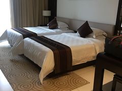 -河源万绿湖美思威尔顿酒店