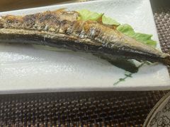 -樱の千渡日式料理·铁板烧•烧鸟(金盛田广场店)
