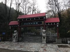 -原山国家森林公园