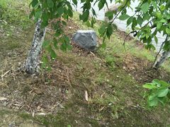 -白塘生态植物园