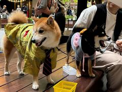 -瑞虹新天地月亮湾