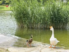 -太阳宫公园