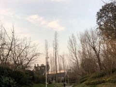 -思念果岭悦温泉