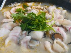-大鼎石锅鱼(春江里店)