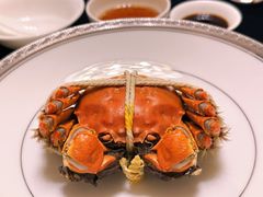清蒸大阐蟹-新光酒家·河豚·海鲜·蟹料理(浦东店)