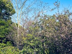 -昆山城市生态森林公园