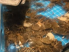 -星伦多自助料理(江阴万达店)