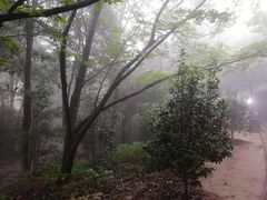 -普陀山风景区-佛顶山