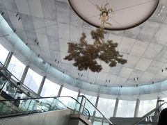 -金光华广场