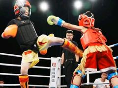 -津武堂散打搏击俱乐部(河西店)