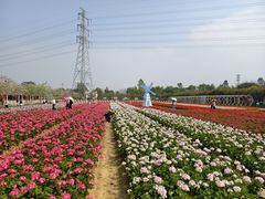 -盈香心动乐园