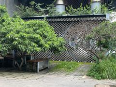 窗外景色-小吊梨汤·北京菜·烤鸭(鸟巢店)