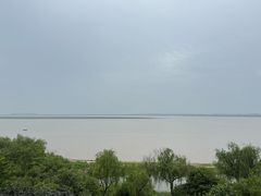 -陈大锅·岳阳鱼馆·地道岳阳菜(美食街店)