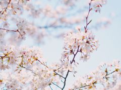 -新天地活力PARK