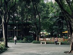 -晓港公园