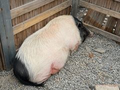 -小时光咖啡馆(开森度假森林店)