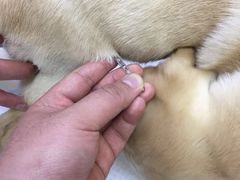 -惠康宠物医院(华能路店)