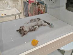 -银泰百货(北京大红门店)