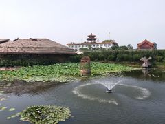 -白洋淀景区