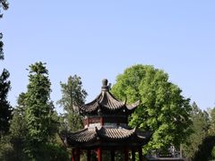 -洛阳白马寺