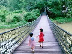 -南宁良凤江国家森林公园