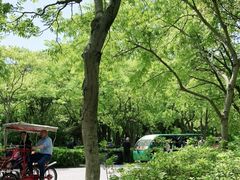 -上海滨江森林公园