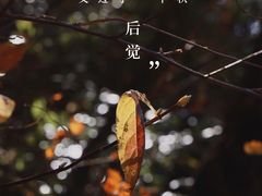 -罗田天堂寨风景区
