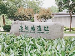 -唐城墙遗址公园