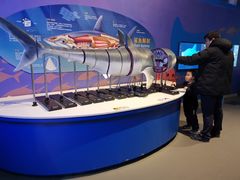 -烟台海昌鲸鲨海洋公园