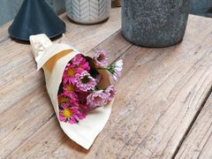 -拾壹cafe·工作室