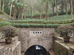 -瑶琳仙境