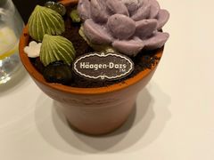 -哈根达斯(皇城恒隆广场店)
