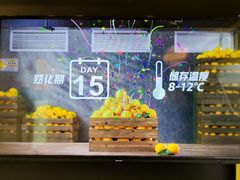 -快乐柠檬happylemon(北京APM店)