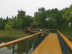 -东郊湿地公园