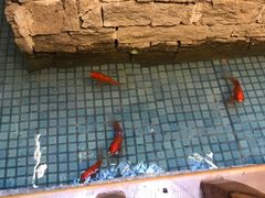 -禾记花园涮肉餐厅