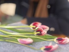 -大财·DA CAI花园餐厅.草坪婚礼.团建会议.围炉煮茶.求婚派对(三圣乡店)