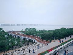 -宝安西湾红树林湿地公园