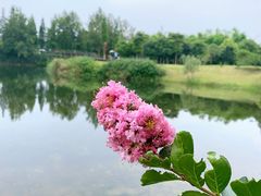 -眉山湿地公园(东坡区)