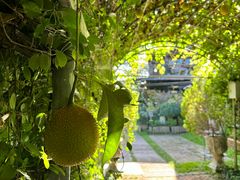 -Ohkajhu Organic Farm Sansai