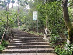 -仙岳公园