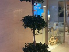 -苏州香格里拉大酒店
