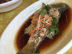 -肘子酥(鞍山西道店)